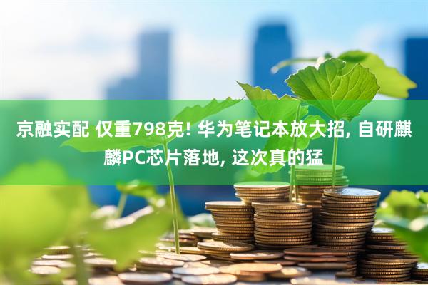 京融实配 仅重798克! 华为笔记本放大招, 自研麒麟PC芯片落地, 这次真的猛